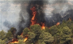 آتش‌سوزی در جنگل‌های «یانه‌سر» بهشهر